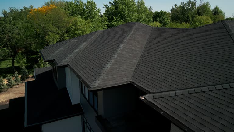 Trusted Palestine, IL Roofing Service Experts