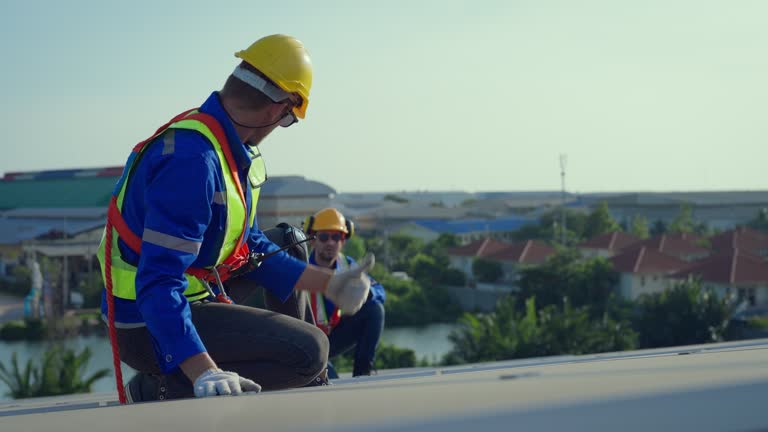 Best Steel Roofing  in Palestine, IL